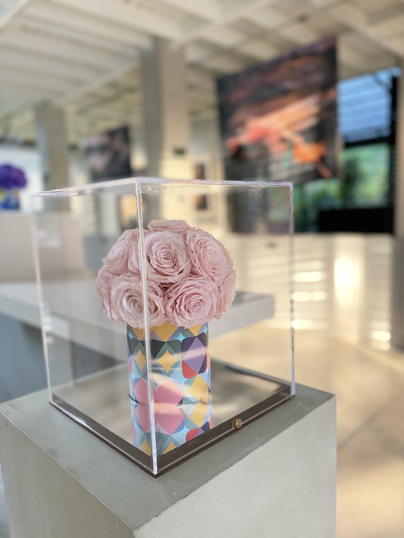 Preserved roses in acrylic display box