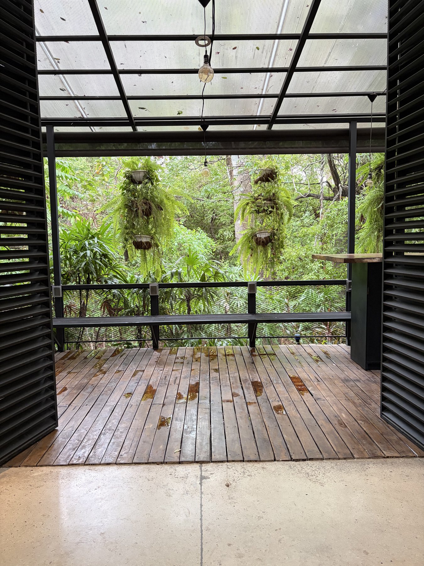 Outdoor terrace surrounded by jungle